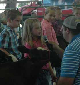 4-H at the County Fair Image